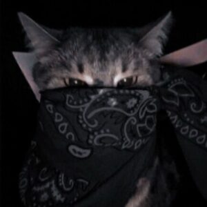 Profile photo of k0r3k